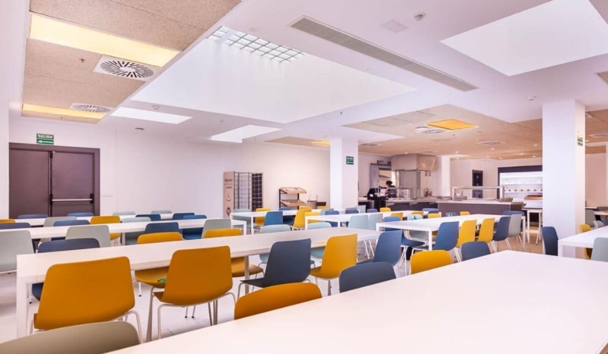 Corazón de la vida universitaria sevillana